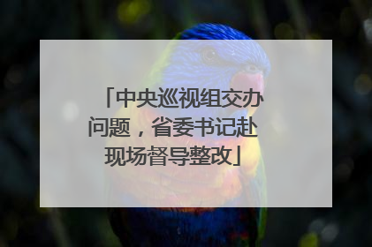 中央巡视组交办问题，省委书记赴现场督导整改