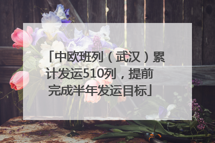 中欧班列（武汉）累计发运510列，提前完成半年发运目标
