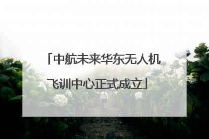 中航未来华东无人机飞训中心正式成立