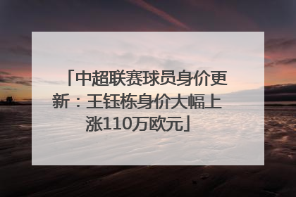 中超联赛球员身价更新：王钰栋身价大幅上涨110万欧元