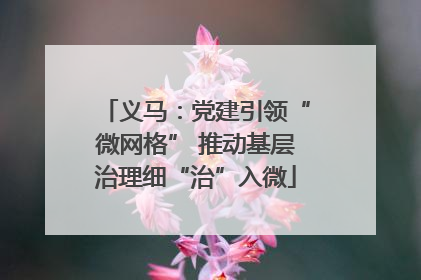 义马：党建引领“微网格” 推动基层治理细“治”入微