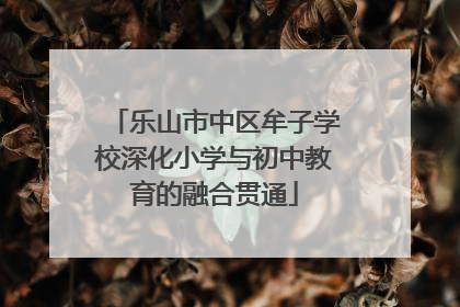 乐山市中区牟子学校深化小学与初中教育的融合贯通