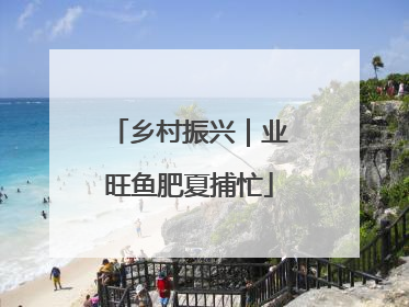 乡村振兴｜业旺鱼肥夏捕忙