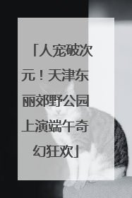 人宠破次元！天津东丽郊野公园上演端午奇幻狂欢
