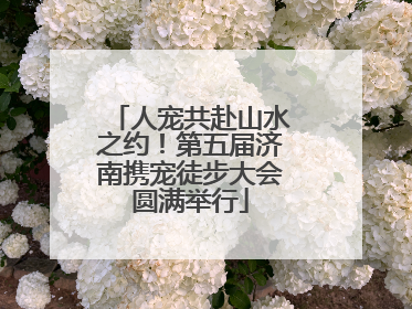 人宠共赴山水之约！第五届济南携宠徒步大会圆满举行