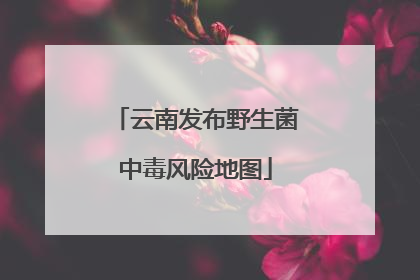 云南发布野生菌中毒风险地图