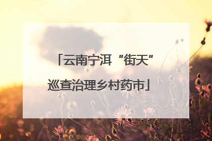 云南宁洱“街天”巡查治理乡村药市