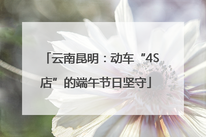 云南昆明：动车“4S店”的端午节日坚守