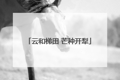 云和梯田 芒种开犁