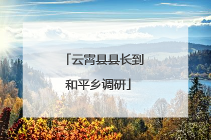 云霄县县长到和平乡调研