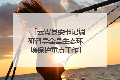 云霄县委书记调研督导全县生态环境保护重点工作
