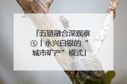 五链融合深观察⑤丨永兴白银的“城市矿产”模式