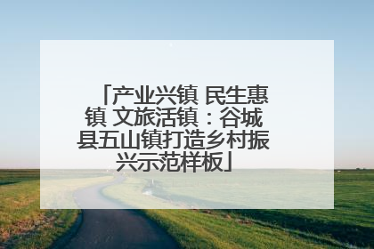 产业兴镇 民生惠镇 文旅活镇：谷城县五山镇打造乡村振兴示范样板