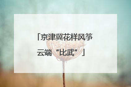 京津冀花样风筝云端“比武”