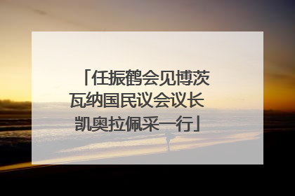 任振鹤会见博茨瓦纳国民议会议长凯奥拉佩采一行