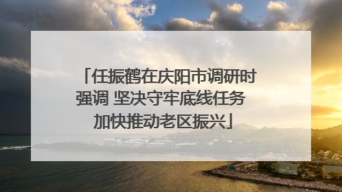 任振鹤在庆阳市调研时强调 坚决守牢底线任务 加快推动老区振兴
