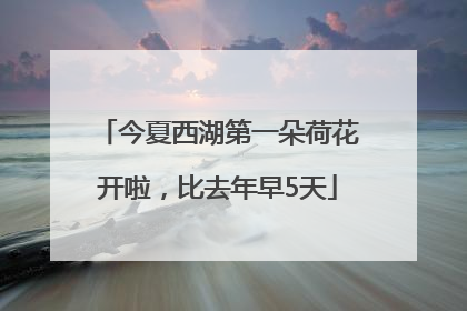 今夏西湖第一朵荷花开啦，比去年早5天