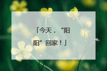 今天，“阳阳”回家！