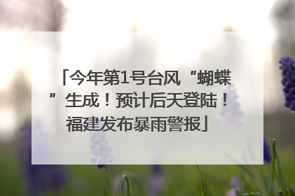 今年第1号台风“蝴蝶”生成！预计后天登陆！福建发布暴雨警报
