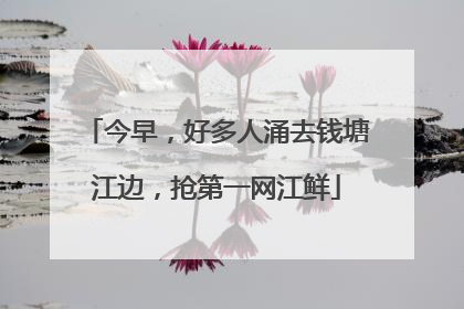 今早，好多人涌去钱塘江边，抢第一网江鲜