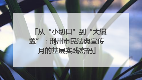 从“小切口”到“大覆盖”：荆州市民法典宣传月的基层实践密码