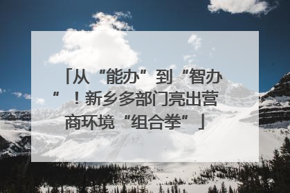 从“能办”到“智办”！新乡多部门亮出营商环境“组合拳”