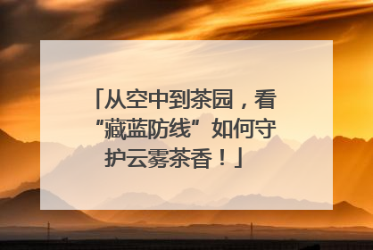 从空中到茶园，看“藏蓝防线”如何守护云雾茶香！