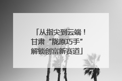 从指尖到云端！甘肃“陇原巧手”解锁创富新赛道