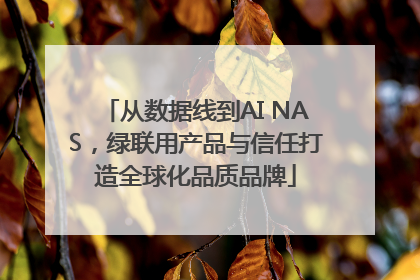从数据线到AI NAS，绿联用产品与信任打造全球化品质品牌