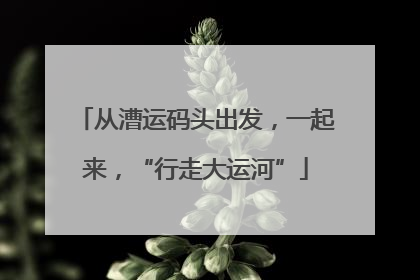 从漕运码头出发，一起来，“行走大运河”