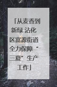 从麦香到新绿 沾化区富源街道全力保障“三夏”生产工作