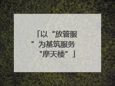 以“放管服”为基筑服务“摩天楼”