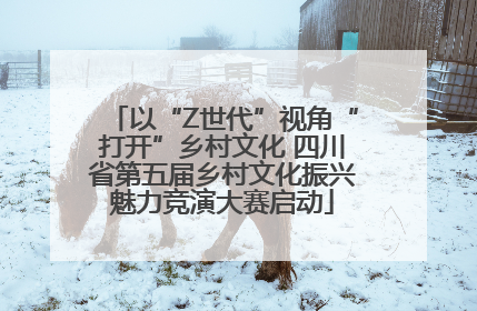 以“Z世代”视角“打开”乡村文化 四川省第五届乡村文化振兴魅力竞演大赛启动