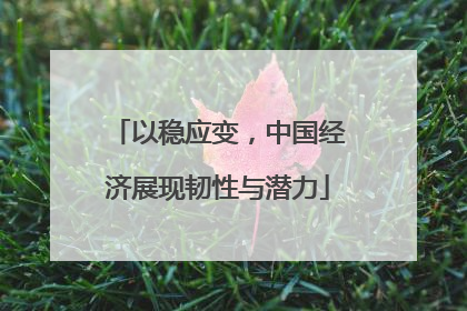 以稳应变，中国经济展现韧性与潜力