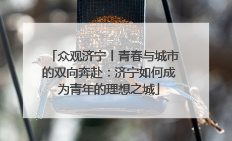 众观济宁丨青春与城市的双向奔赴：济宁如何成为青年的理想之城