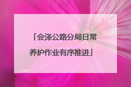 会泽公路分局日常养护作业有序推进