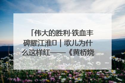 伟大的胜利·铁血丰碑耀江淮⑫｜歌儿为什么这样红——《黄桥烧饼歌》诞生记