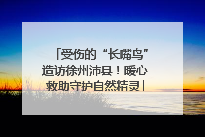 受伤的“长嘴鸟”造访徐州沛县！暖心救助守护自然精灵