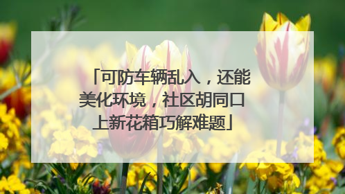 可防车辆乱入，还能美化环境，社区胡同口上新花箱巧解难题
