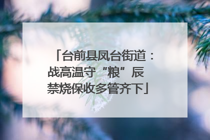 台前县凤台街道：战高温守“粮”辰 禁烧保收多管齐下