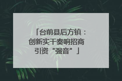 台前县后方镇：创新实干奏响招商引资“强音”
