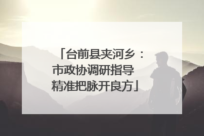 台前县夹河乡：市政协调研指导 精准把脉开良方