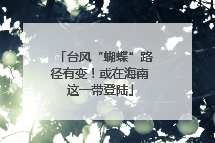 台风“蝴蝶”路径有变！或在海南这一带登陆