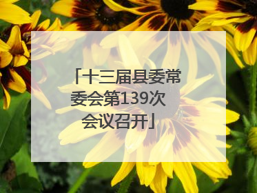 十三届县委常委会第139次会议召开