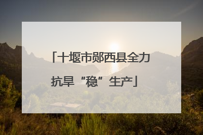 十堰市郧西县全力抗旱“稳”生产