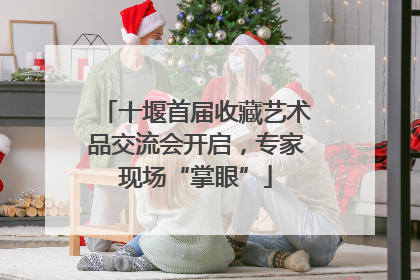 十堰首届收藏艺术品交流会开启，专家现场“掌眼”