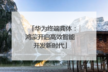 华为终端龚体：鸿蒙开启高效智能开发新时代