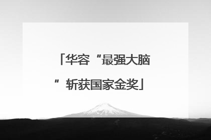 华容“最强大脑”斩获国家金奖