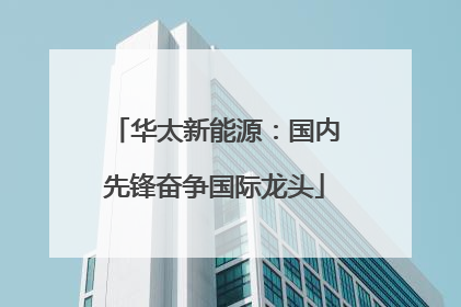 华太新能源：国内先锋奋争国际龙头