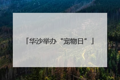 华沙举办“宠物日”